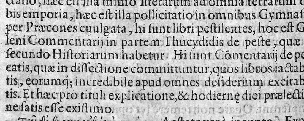 An illustration from Praelectiones Marciae, sive Commentaria in Thucydidis historiam, seu narrationem de Peste Atheniensium., 1603, leaf 71