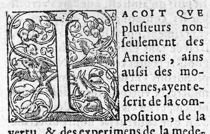 An illustration from Les six livres de Pedacion Dioscoride d’Anazarbe, de la matiere medicale, translatez de Latin en François. A chacun Chapitre sont adjoustees certaines annotations fort doctes, et recueillies des plus excellens Medecins, anciens et modernes, Avec Privilege pour cinq ans,, 1559, leaf 14