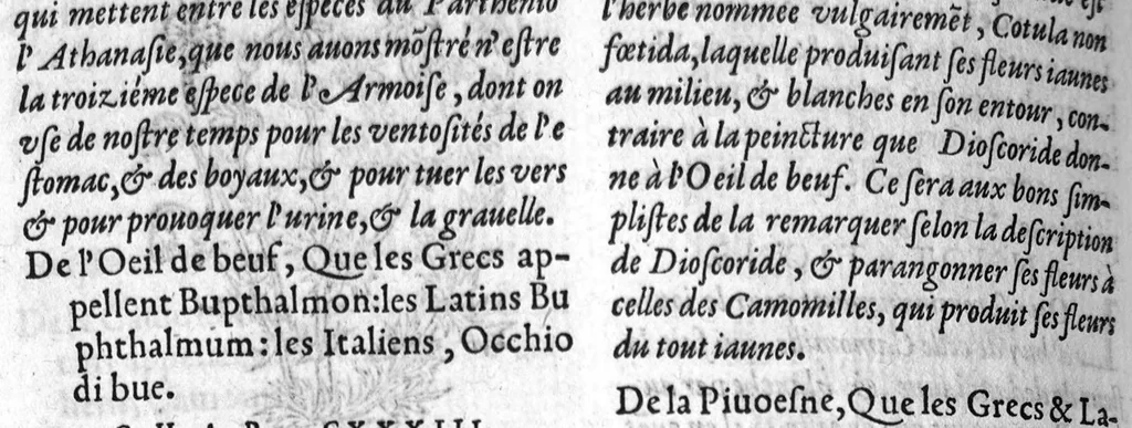 An illustration from Les six livres de Pedacion Dioscoride d’Anazarbe, de la matiere medicale, translatez de Latin en François. A chacun Chapitre sont adjoustees certaines annotations fort doctes, et recueillies des plus excellens Medecins, anciens et modernes, Avec Privilege pour cinq ans,, 1559, leaf 341