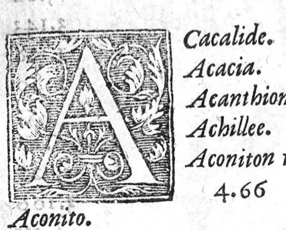 An illustration from Les six livres de Pedacion Dioscoride d’Anazarbe, de la matiere medicale, translatez de Latin en François. A chacun Chapitre sont adjoustees certaines annotations fort doctes, et recueillies des plus excellens Medecins, anciens et modernes, Avec Privilege pour cinq ans,, 1559, leaf 4