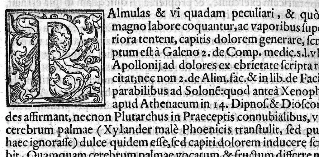 An illustration from Hieronymi Mercurialis Variarum Lectionum, in medicinae Scriptoribus et aliis, Libri sex, 1598, leaf 23