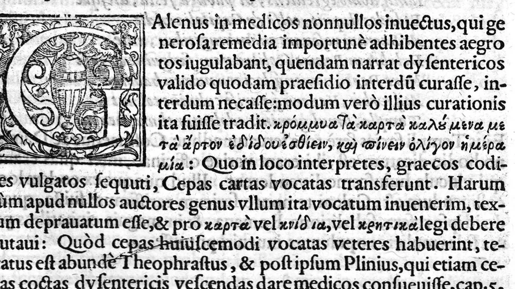 An illustration from Hieronymi Mercurialis Variarum Lectionum, in medicinae Scriptoribus et aliis, Libri sex, 1598, leaf 26
