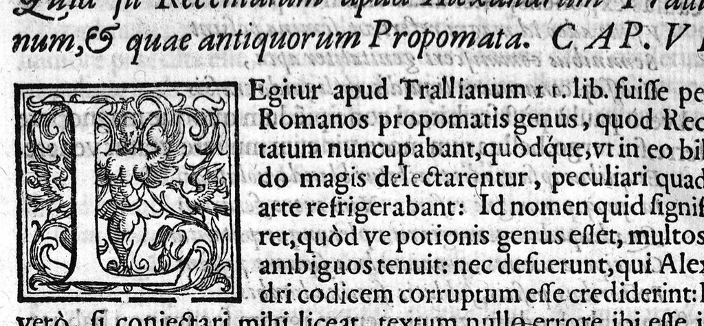 An illustration from Hieronymi Mercurialis Variarum Lectionum, in medicinae Scriptoribus et aliis, Libri sex, 1598, leaf 31