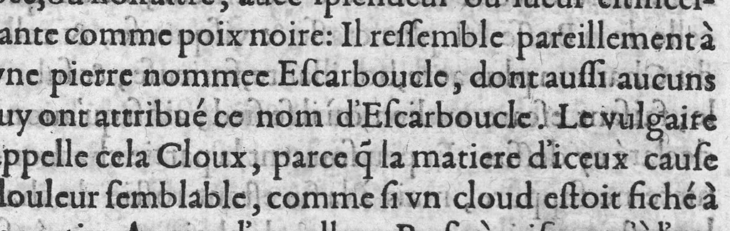 An illustration from Discours d'Ambroise Paré, conseiller premier chirurgien du roy, à scavoir , de la mumie, des venins, de la licorne et de la peste. Avec une table des plus notables matieres contenues esdits Discours, 1582, leaf 162