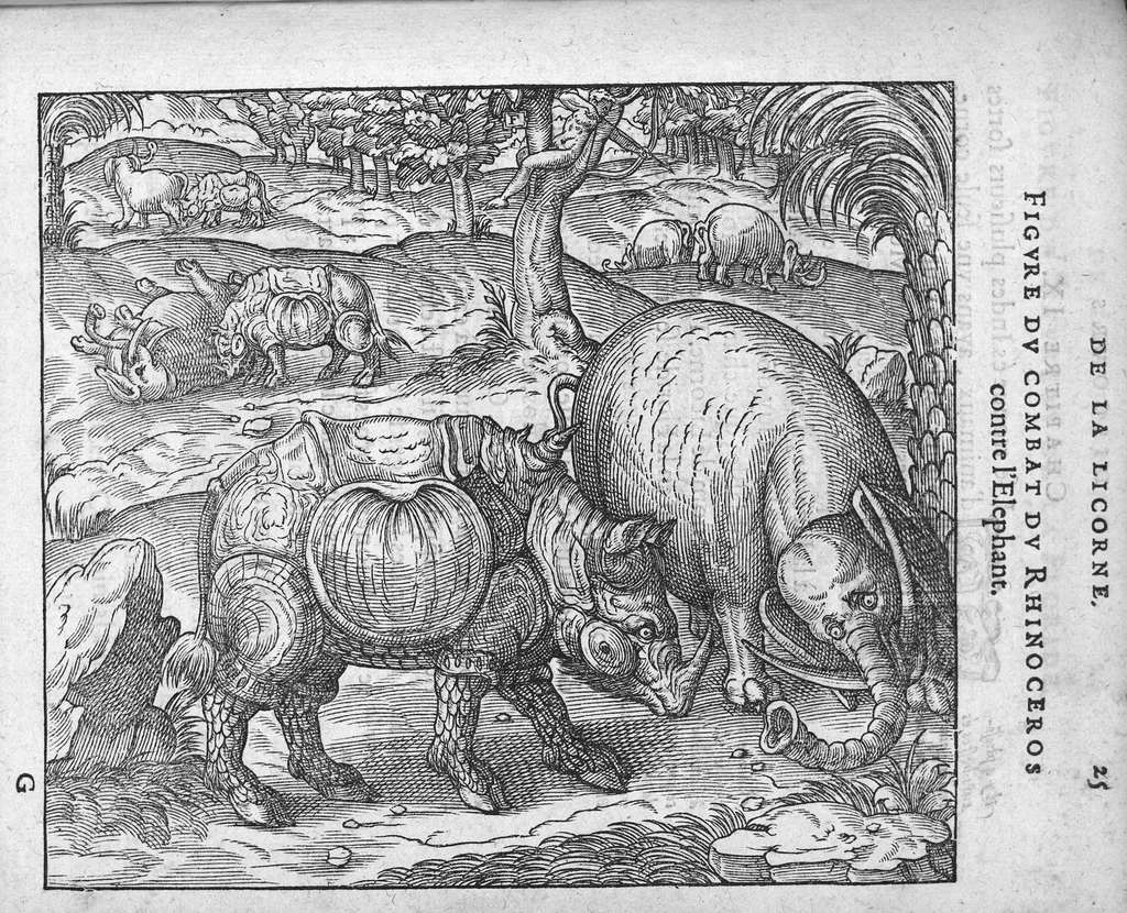 An illustration from Discours d'Ambroise Paré, conseiller premier chirurgien du roy, à scavoir , de la mumie, des venins, de la licorne et de la peste. Avec une table des plus notables matieres contenues esdits Discours, 1582, leaf 82