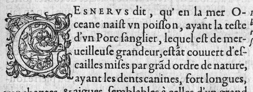 An illustration from Discours d'Ambroise Paré, conseiller premier chirurgien du roy, à scavoir , de la mumie, des venins, de la licorne et de la peste. Avec une table des plus notables matieres contenues esdits Discours, 1582, leaf 94