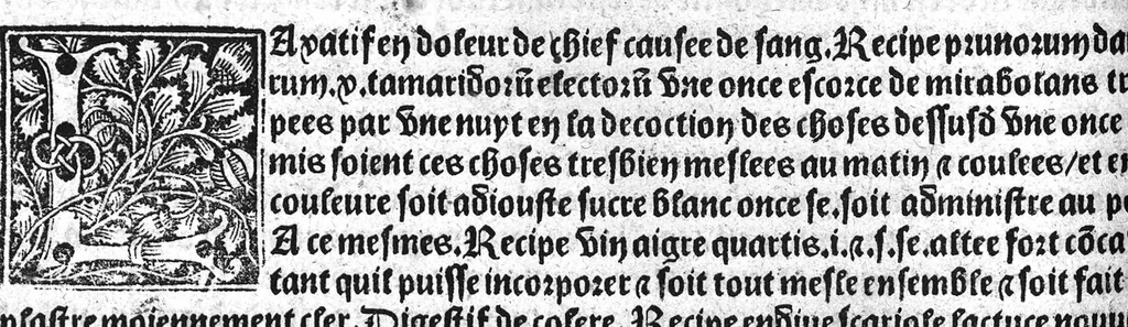 An illustration from Le tresor des pouvres selon maistre Arnoult de Villenove : maistre Gerard de Solo et plusieurs aultres docteurs en medecine de Montpellier, 1518, leaf 113