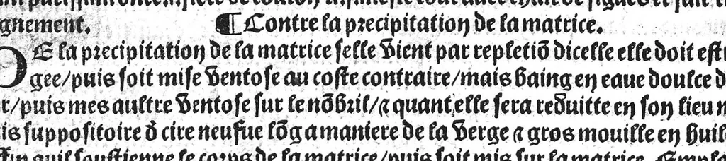 An illustration from Le tresor des pouvres selon maistre Arnoult de Villenove : maistre Gerard de Solo et plusieurs aultres docteurs en medecine de Montpellier, 1518, leaf 165