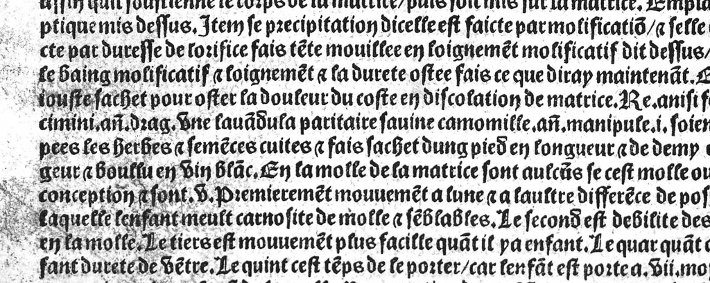 An illustration from Le tresor des pouvres selon maistre Arnoult de Villenove : maistre Gerard de Solo et plusieurs aultres docteurs en medecine de Montpellier, 1518, leaf 165
