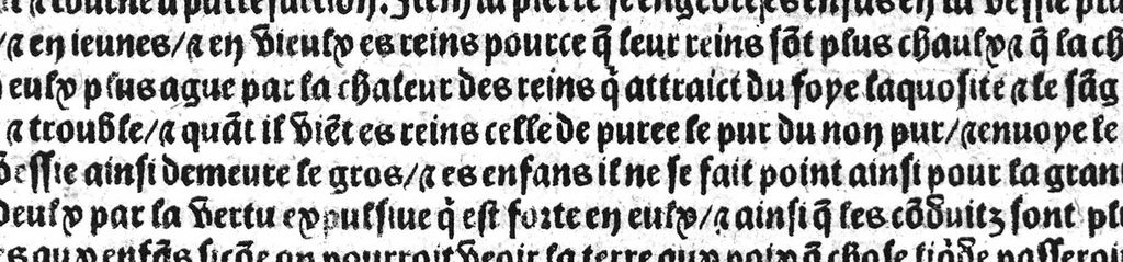 An illustration from Le tresor des pouvres selon maistre Arnoult de Villenove : maistre Gerard de Solo et plusieurs aultres docteurs en medecine de Montpellier, 1518, leaf 178