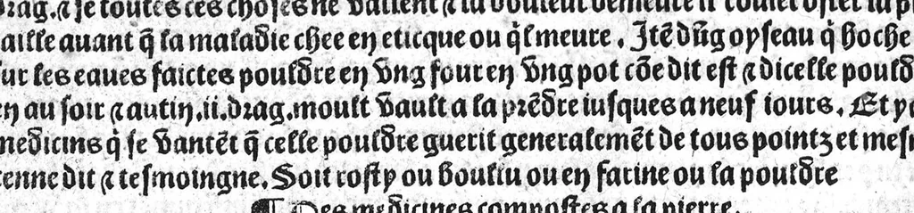 An illustration from Le tresor des pouvres selon maistre Arnoult de Villenove : maistre Gerard de Solo et plusieurs aultres docteurs en medecine de Montpellier, 1518, leaf 183