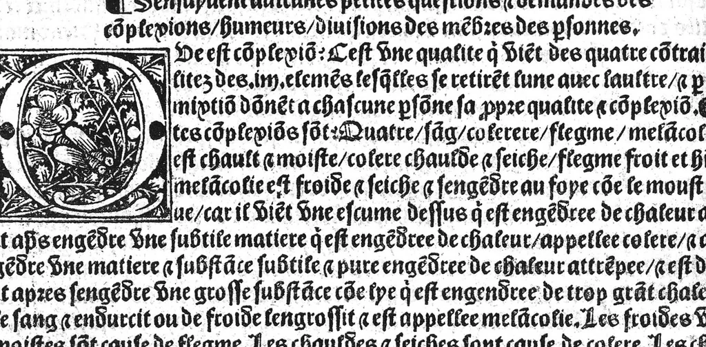 An illustration from Le tresor des pouvres selon maistre Arnoult de Villenove : maistre Gerard de Solo et plusieurs aultres docteurs en medecine de Montpellier, 1518, leaf 185