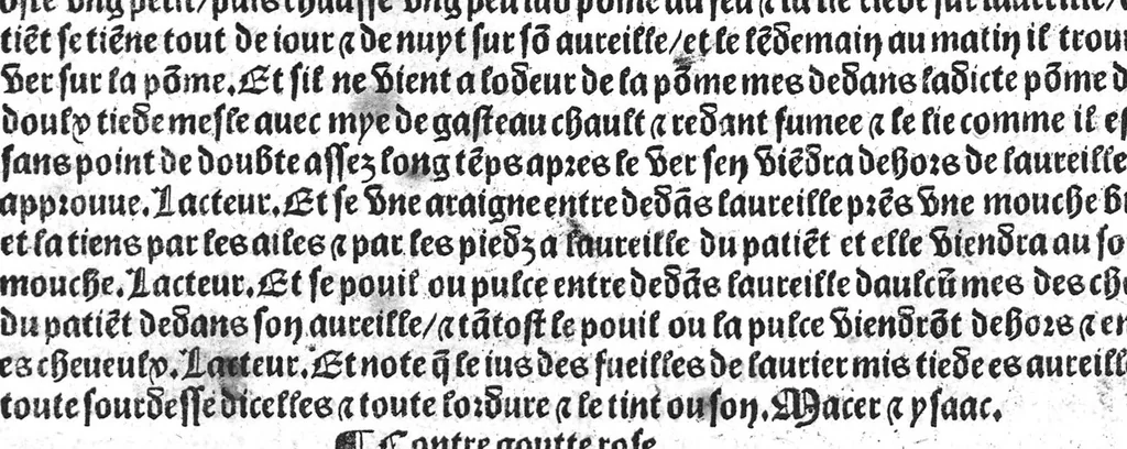 An illustration from Le tresor des pouvres selon maistre Arnoult de Villenove : maistre Gerard de Solo et plusieurs aultres docteurs en medecine de Montpellier, 1518, leaf 19