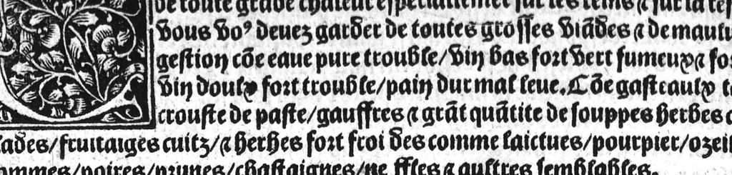 An illustration from Le tresor des pouvres selon maistre Arnoult de Villenove : maistre Gerard de Solo et plusieurs aultres docteurs en medecine de Montpellier, 1518, leaf 199