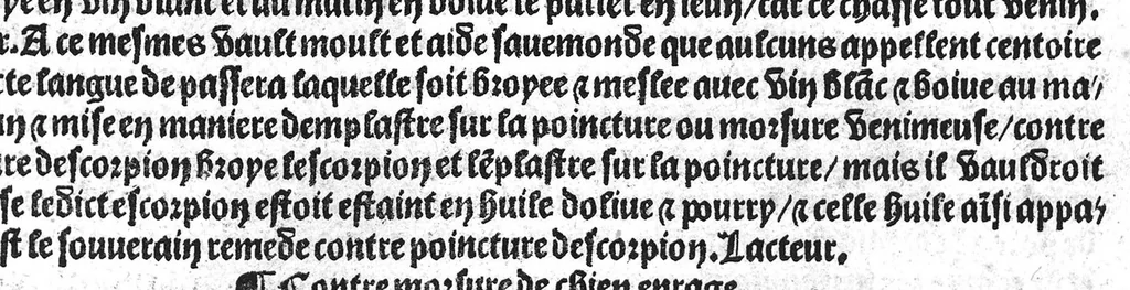 An illustration from Le tresor des pouvres selon maistre Arnoult de Villenove : maistre Gerard de Solo et plusieurs aultres docteurs en medecine de Montpellier, 1518, leaf 32