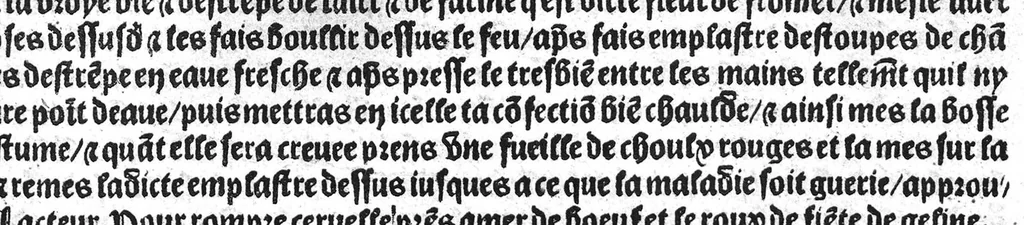 An illustration from Le tresor des pouvres selon maistre Arnoult de Villenove : maistre Gerard de Solo et plusieurs aultres docteurs en medecine de Montpellier, 1518, leaf 34