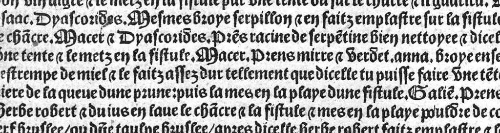 An illustration from Le tresor des pouvres selon maistre Arnoult de Villenove : maistre Gerard de Solo et plusieurs aultres docteurs en medecine de Montpellier, 1518, leaf 55