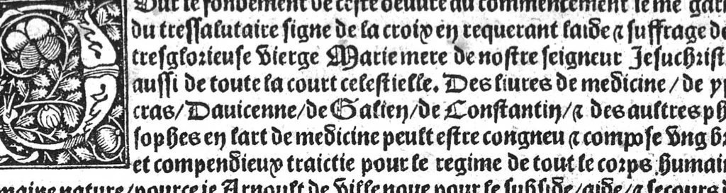 An illustration from Le tresor des pouvres selon maistre Arnoult de Villenove : maistre Gerard de Solo et plusieurs aultres docteurs en medecine de Montpellier, 1518, leaf 6