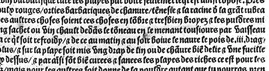 An illustration from Le tresor des pouvres selon maistre Arnoult de Villenove : maistre Gerard de Solo et plusieurs aultres docteurs en medecine de Montpellier, 1518, leaf 84