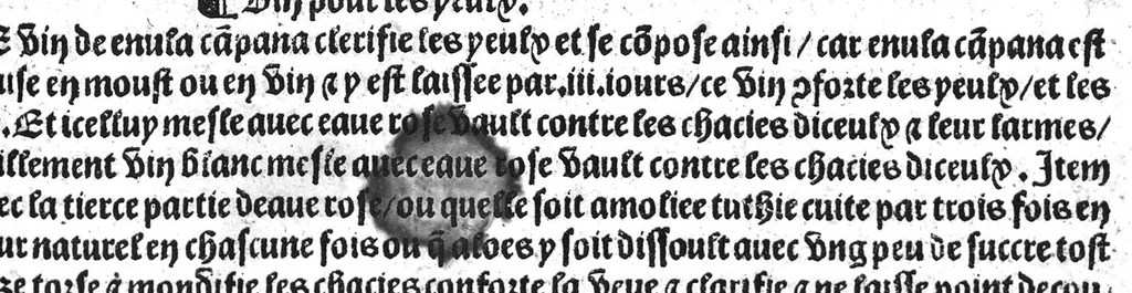 An illustration from Le tresor des pouvres selon maistre Arnoult de Villenove : maistre Gerard de Solo et plusieurs aultres docteurs en medecine de Montpellier, 1518, leaf 86