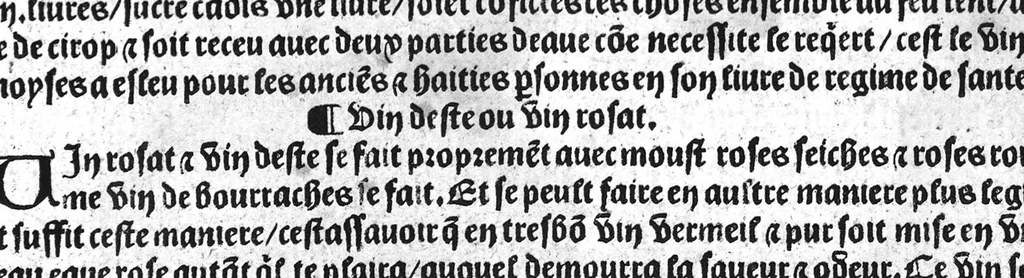 An illustration from Le tresor des pouvres selon maistre Arnoult de Villenove : maistre Gerard de Solo et plusieurs aultres docteurs en medecine de Montpellier, 1518, leaf 89