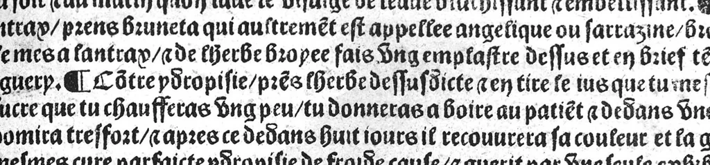 An illustration from Le tresor des pouvres selon maistre Arnoult de Villenove : maistre Gerard de Solo et plusieurs aultres docteurs en medecine de Montpellier, 1518, leaf 98