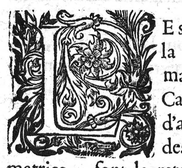 An illustration from Les IXV livres des paragraphes de Ph. Theoph. Paracelse Bombast,...où sont contenus en epitome ses secrets admirables...; traduicts du latin en françois,...par C. de Sarcilly..., 1631, leaf 153
