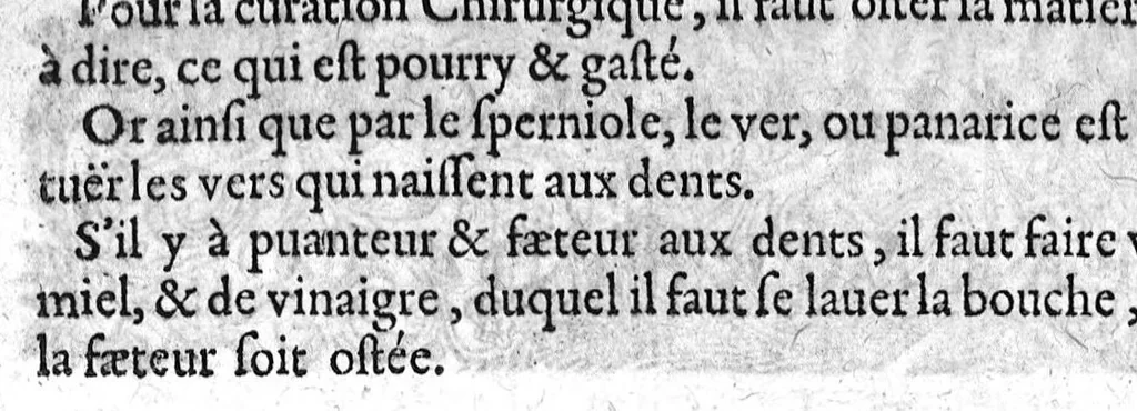 An illustration from Les IXV livres des paragraphes de Ph. Theoph. Paracelse Bombast,...où sont contenus en epitome ses secrets admirables...; traduicts du latin en françois,...par C. de Sarcilly..., 1631, leaf 164