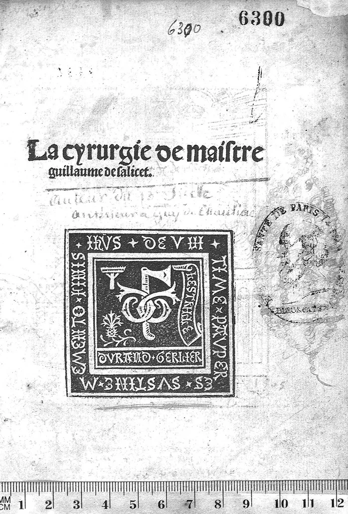 An illustration from La cyrurgie de maistre Guillaume de Salicet, 1505, leaf 0