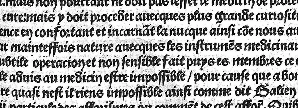 An illustration from La cyrurgie de maistre Guillaume de Salicet, 1505, leaf 116