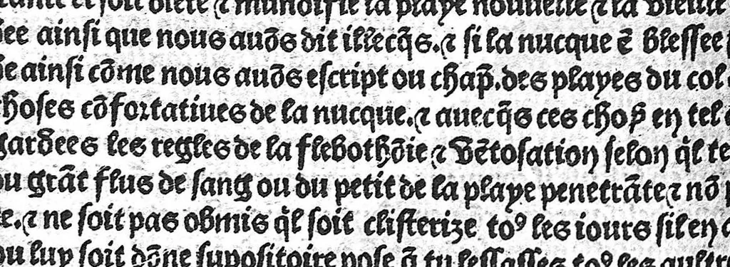 An illustration from La cyrurgie de maistre Guillaume de Salicet, 1505, leaf 139