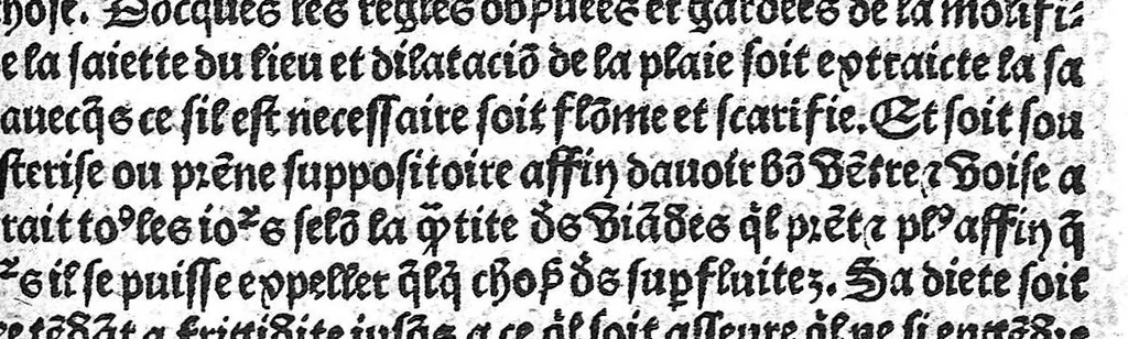 An illustration from La cyrurgie de maistre Guillaume de Salicet, 1505, leaf 146