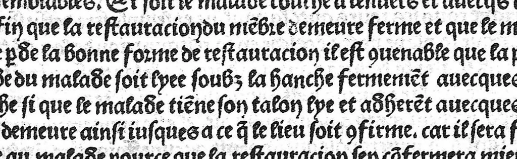 An illustration from La cyrurgie de maistre Guillaume de Salicet, 1505, leaf 204