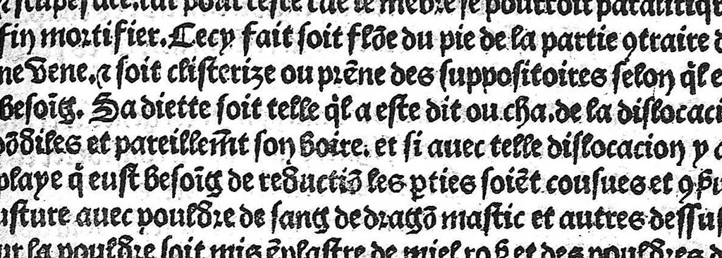 An illustration from La cyrurgie de maistre Guillaume de Salicet, 1505, leaf 210