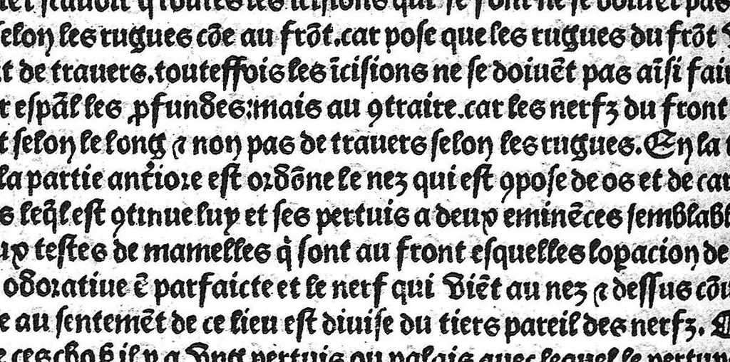 An illustration from La cyrurgie de maistre Guillaume de Salicet, 1505, leaf 215