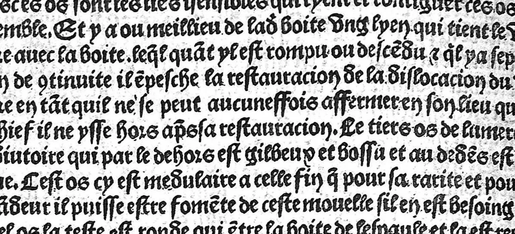 An illustration from La cyrurgie de maistre Guillaume de Salicet, 1505, leaf 221