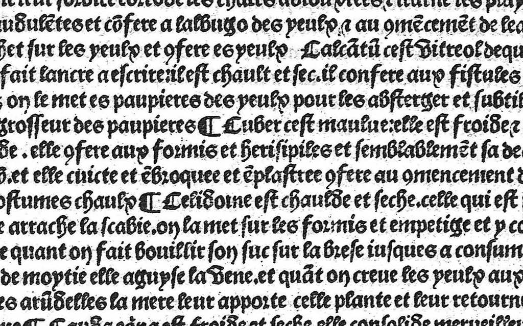An illustration from La cyrurgie de maistre Guillaume de Salicet, 1505, leaf 258
