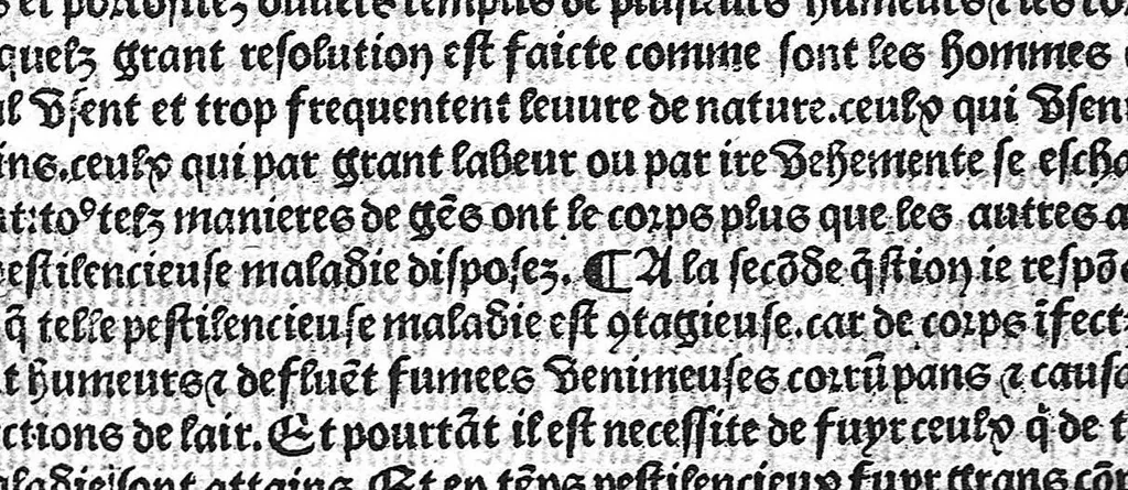 An illustration from La cyrurgie de maistre Guillaume de Salicet, 1505, leaf 266