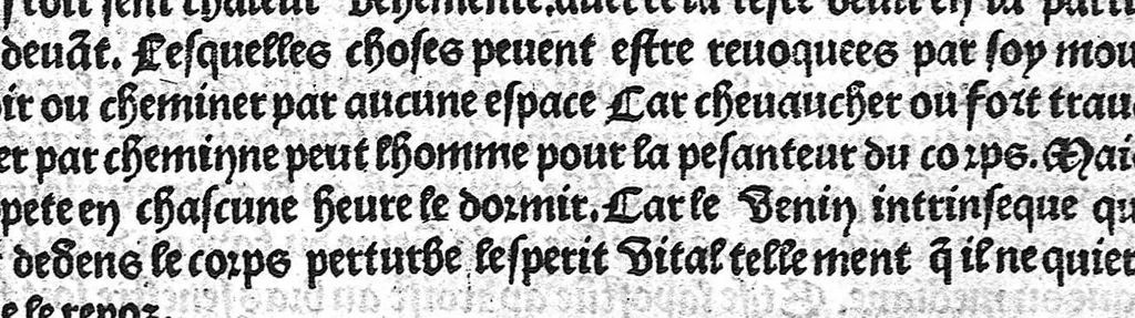 An illustration from La cyrurgie de maistre Guillaume de Salicet, 1505, leaf 272