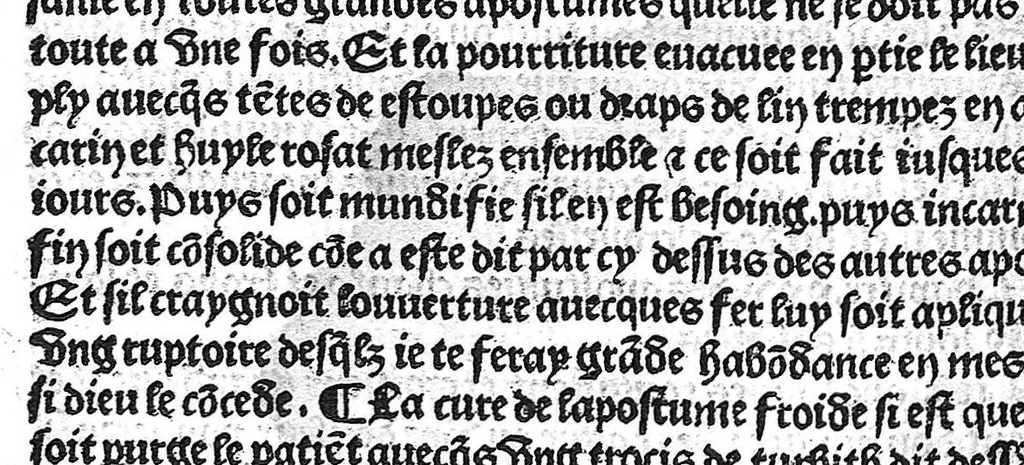 An illustration from La cyrurgie de maistre Guillaume de Salicet, 1505, leaf 41