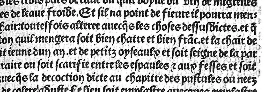 An illustration from La cyrurgie de maistre Guillaume de Salicet, 1505, leaf 46