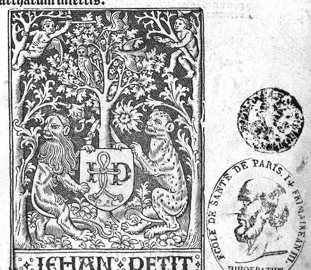 An illustration from Regimen sanitatis, 1506, leaf 0