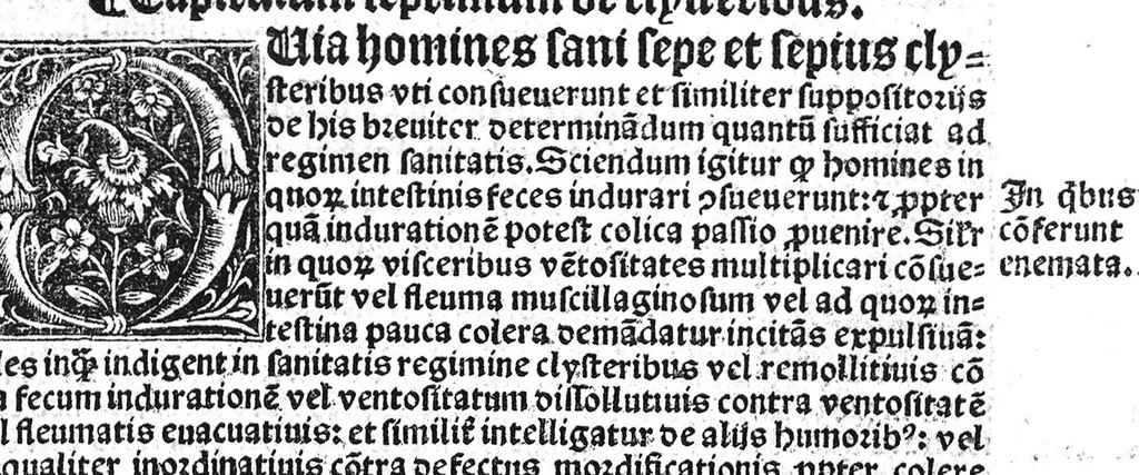 An illustration from Regimen sanitatis, 1506, leaf 170