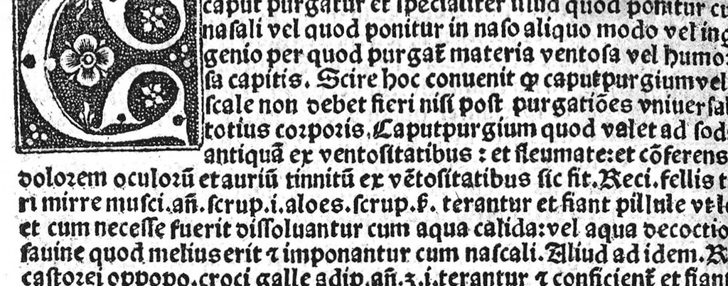 An illustration from Regimen sanitatis, 1506, leaf 177