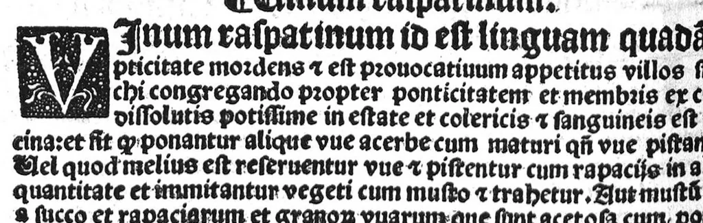 An illustration from Regimen sanitatis, 1506, leaf 217