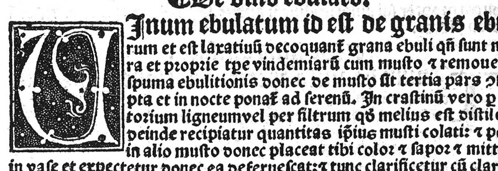 An illustration from Regimen sanitatis, 1506, leaf 221