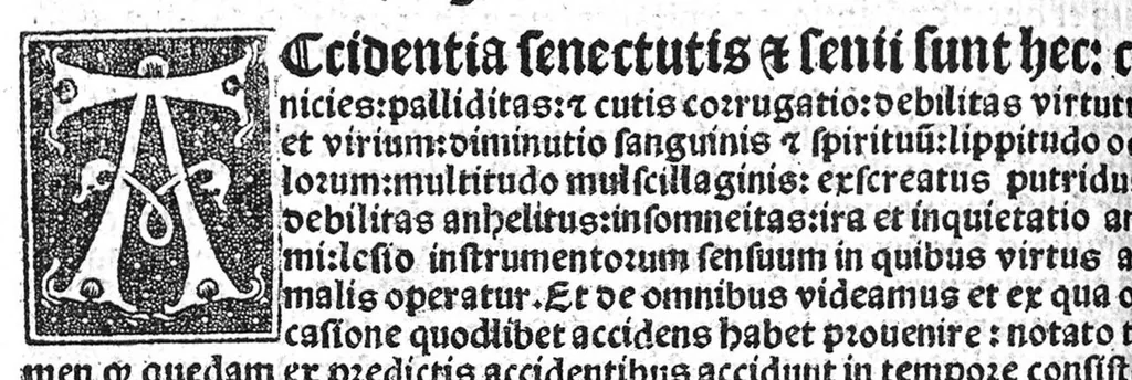 An illustration from Regimen sanitatis, 1506, leaf 233
