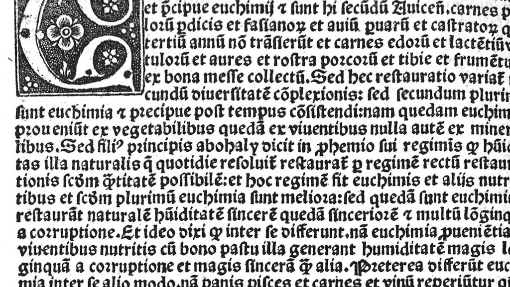 An illustration from Regimen sanitatis, 1506, leaf 239