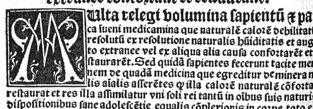 An illustration from Regimen sanitatis, 1506, leaf 247