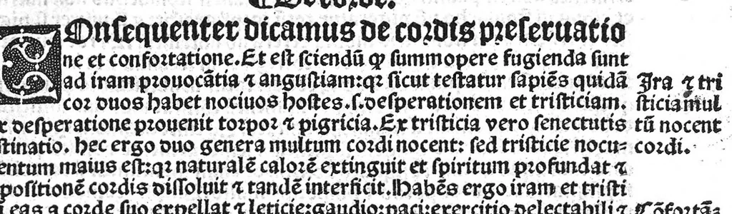 An illustration from Regimen sanitatis, 1506, leaf 30
